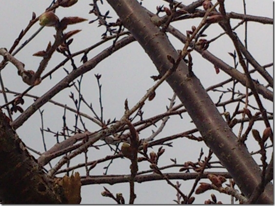 DSC_0030 DSC_0030