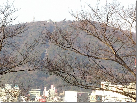 DSC_0169 DSC_0169