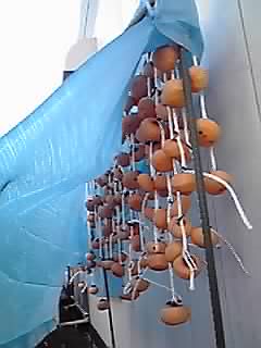 20111124_2170818.jpg