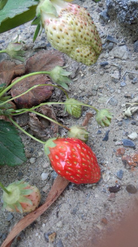 130606_172720.jpg