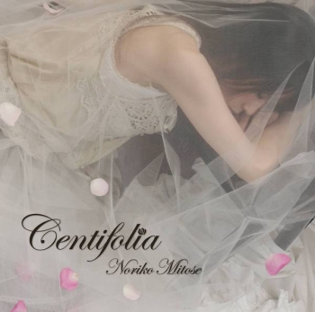 centifolia_jk