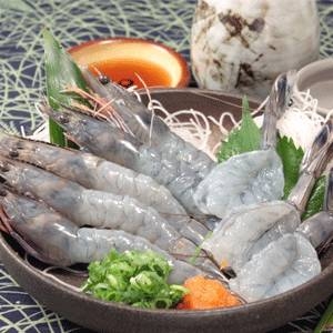 天使の海老 たっぷり1kgセット(30〜40尾 化粧箱入り)