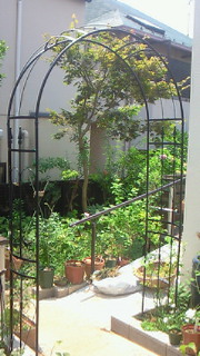201007221118000.jpg
