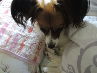 DSCN2852.JPG