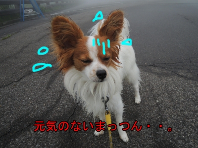 元気ない.jpg