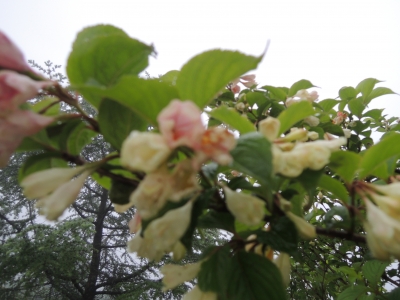 DSCN2809.JPG