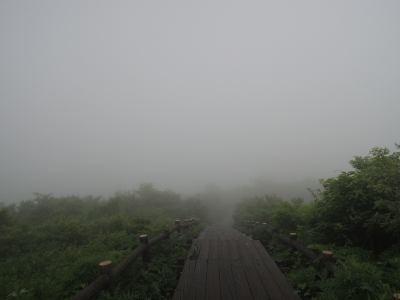DSCN2817.JPG