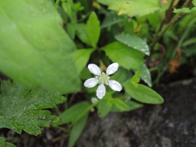 DSCN2820.JPG