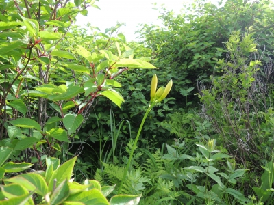 DSCN2826.JPG