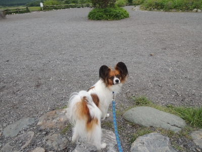 DSCN2843.JPG