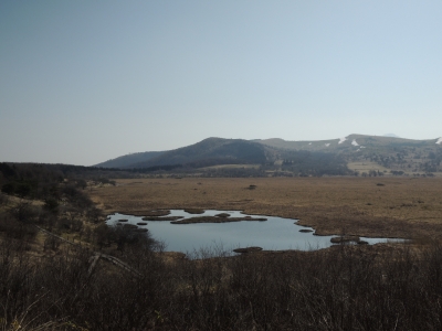 DSCN9185.JPG