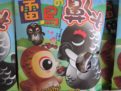 DSCN9200.JPG