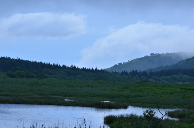 DSC_0337.JPG
