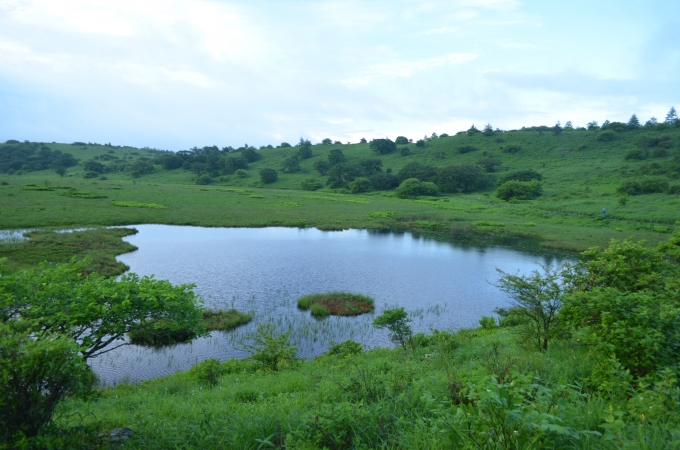 DSC_0363.JPG