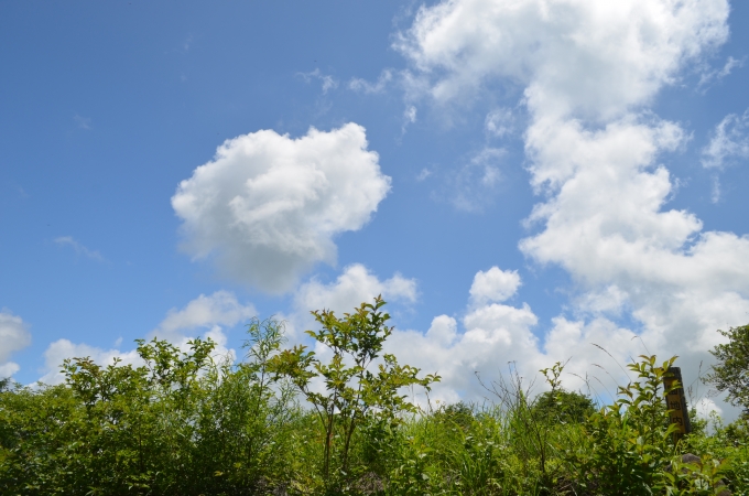 DSC_0118.JPG