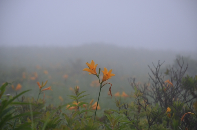 DSC_0148.JPG