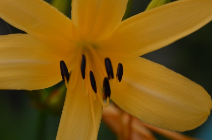 DSC_0173.JPG