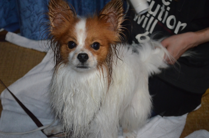DSC_0192.JPG