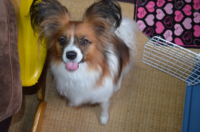 DSC_0194.JPG