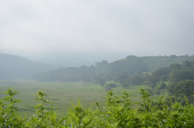 DSC_0345.JPG