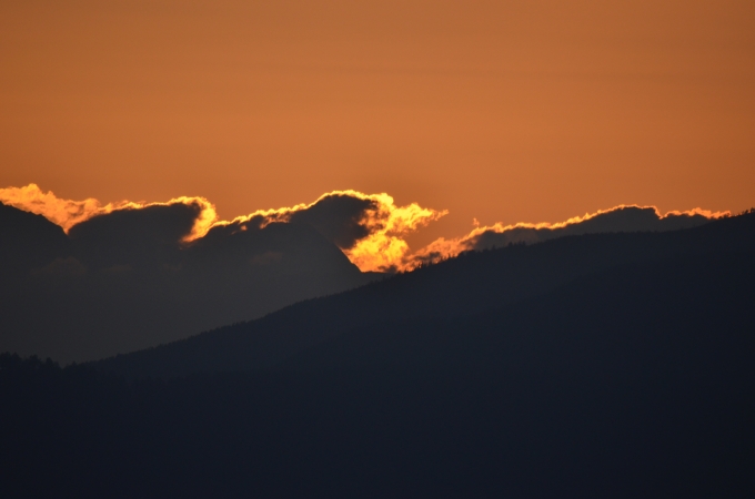 DSC_0381.JPG