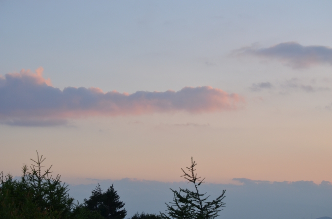 DSC_0388.JPG