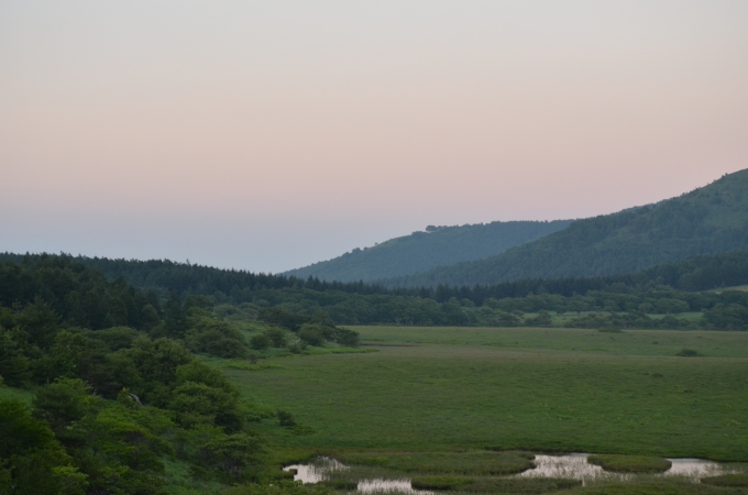 DSC_0403.JPG