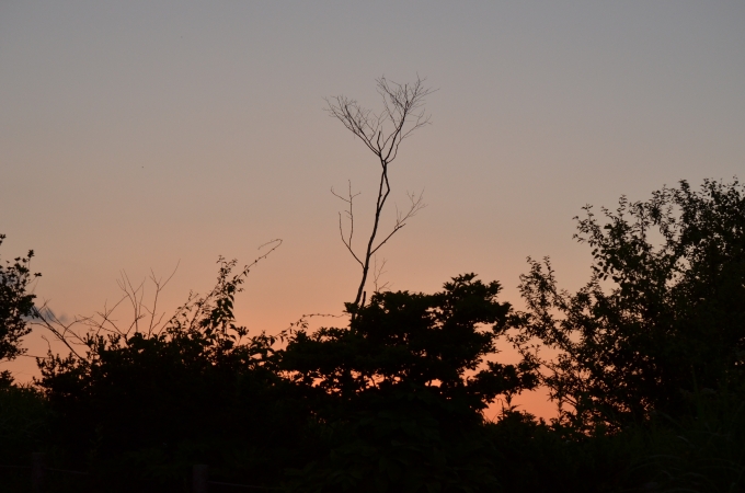 DSC_0408.JPG
