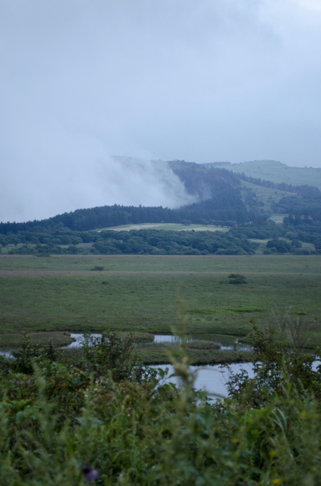 DSC_0009.JPG