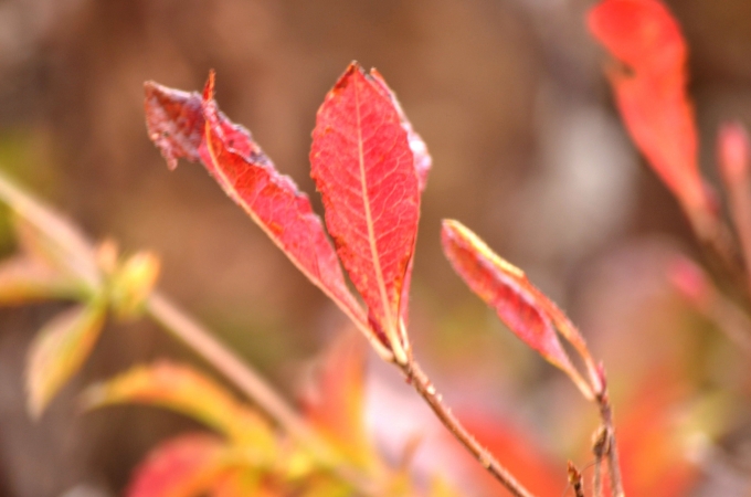 DSC_0059_result2.jpg