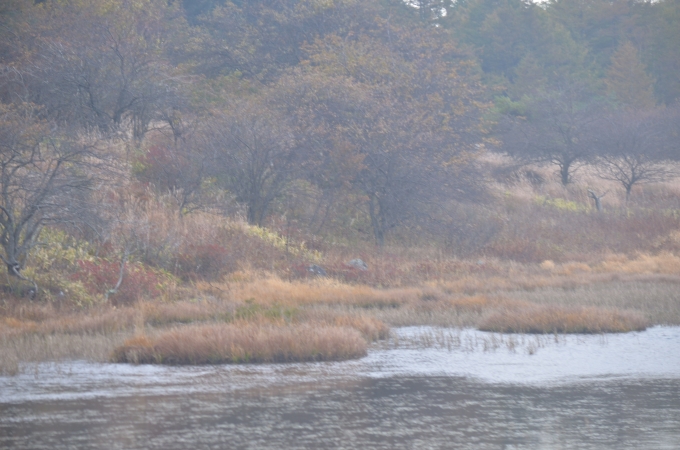 DSC_0061_result2.jpg