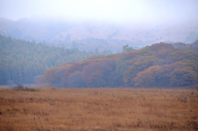DSC_0062_result2.jpg