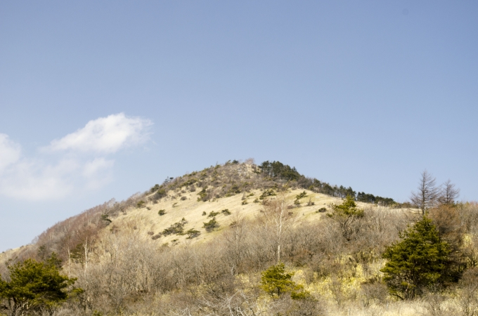 DSC_0041.JPG