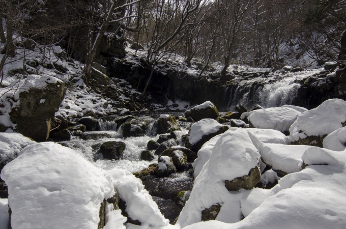 DSC_0114.JPG