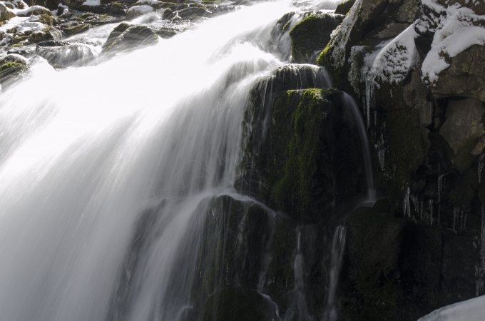 DSC_0133.JPG
