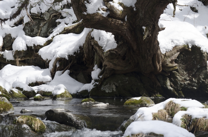 DSC_0179.JPG