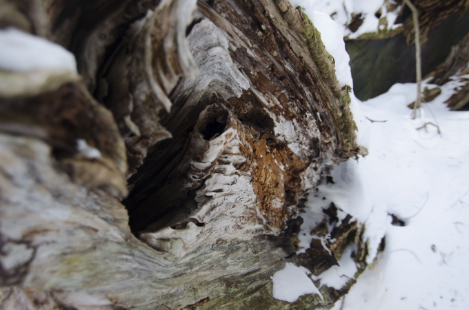 DSC_0095.JPG