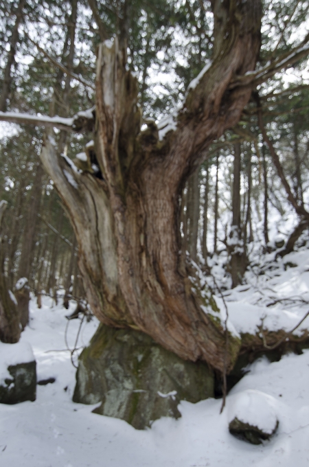 DSC_0097.JPG