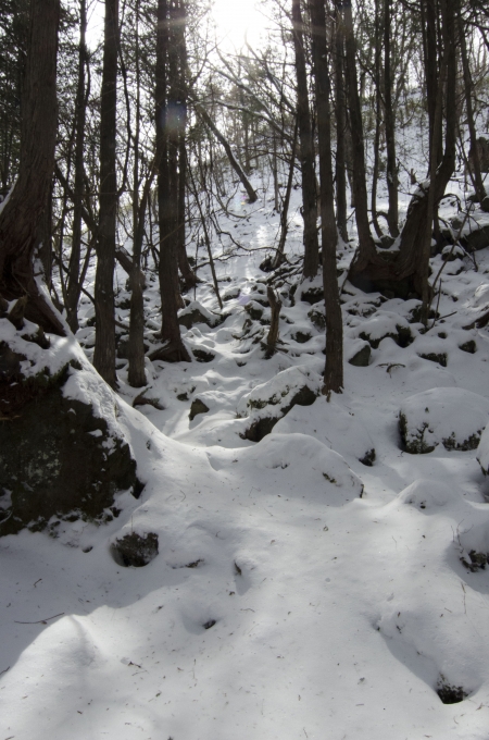 DSC_0107.JPG