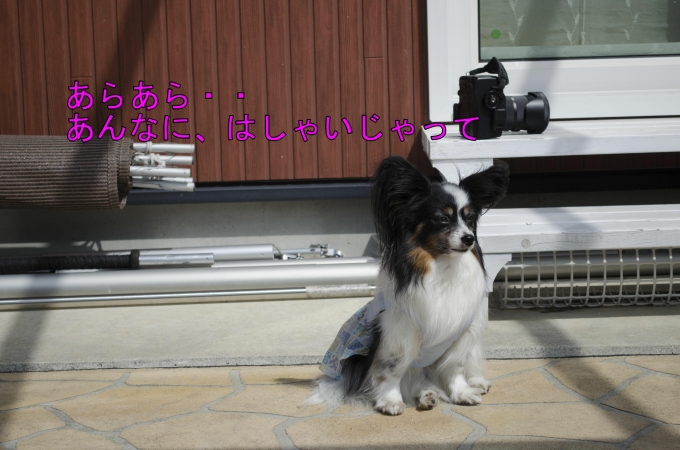 DSC_0204.JPG
