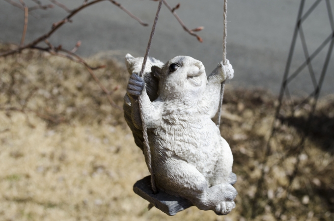 DSC_0227.JPG