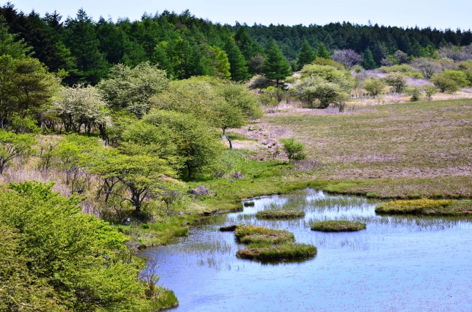 DSC_0013_result2.jpg