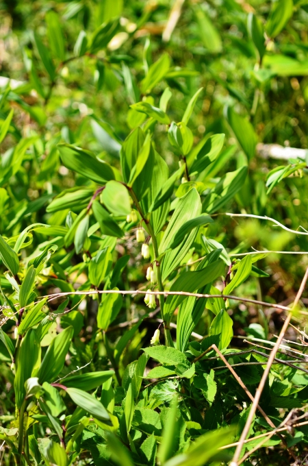 DSC_0021_result2.jpg