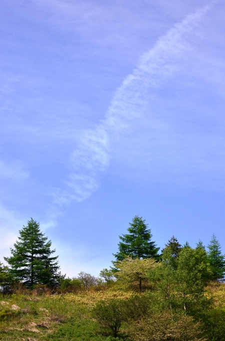DSC_0027_result2.jpg