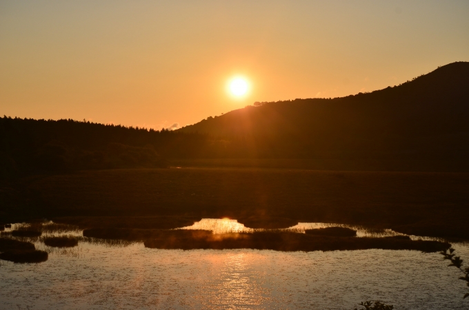 DSC_0038_result2.jpg
