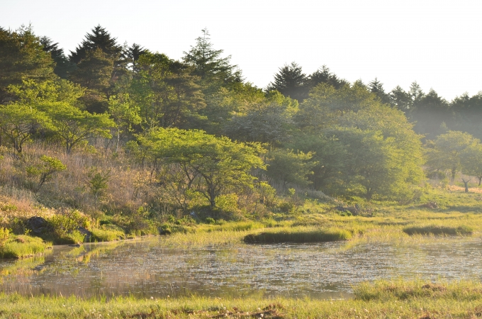 DSC_0070_result2.jpg