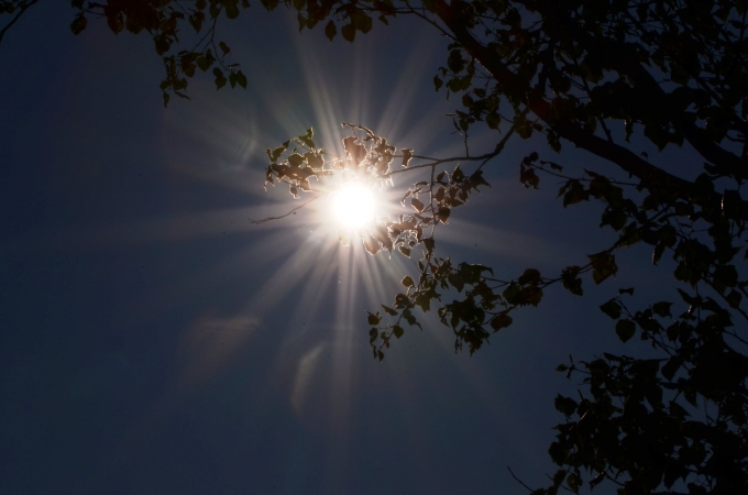 DSC_0083_result2.jpg