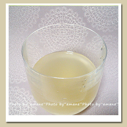 プラスナチュラル　ジンジャーライムミント