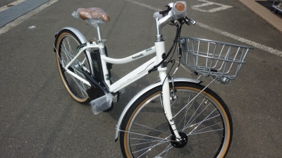 ÅÅÆ°¥¢¥·¥¹¥È¼«Å¾¼Ö