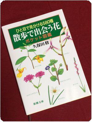 book_zukan